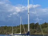 Rustler 36