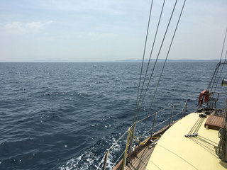 Faune et Flore marine !