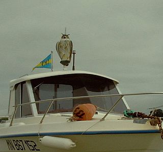 Oiseau(x) des mers et des océans