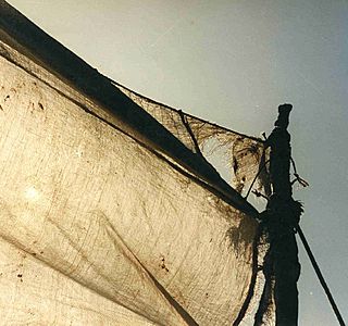 Jeux d'ombres
