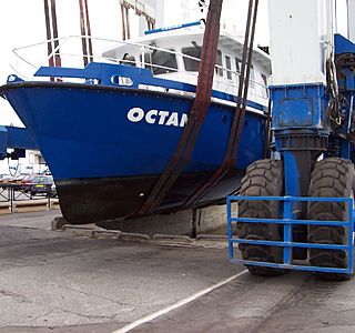 Carénages