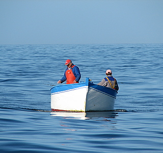 Bateaux de pêche rencontrés en mer