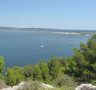 Mouillage solitaire