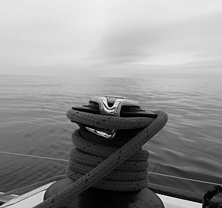 Le meilleur ami du marin...