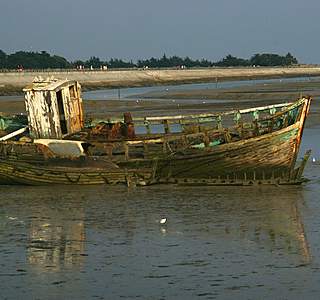 Bateaux de pêche