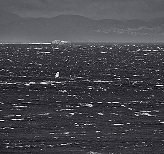 La mer en noir et blanc, rien que la mer, rien que du noir et blanc !