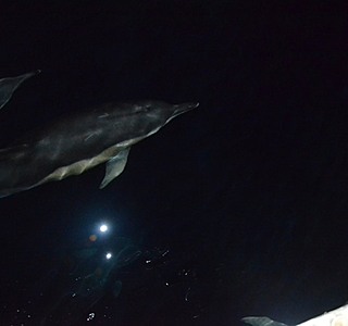 Navigation de nuit