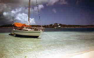 Trisbal 36