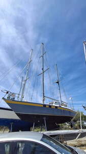 Galapagos 43