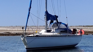 Kelt 29